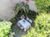 Bild 14