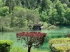 Bild 18