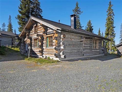 Feriehus / leilighet - 8 personer -  - Kuusamo - 93830