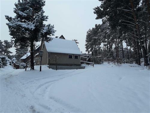 Feriehus / leilighet - 2 personer -  - Am Galgenberg - 17459 - Loddin / Kölpinsee