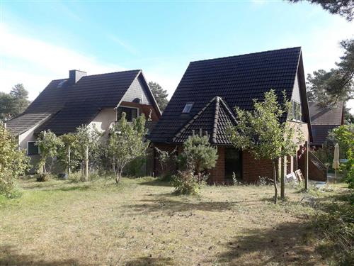 Holiday apartment - 2 persons -  - Am Galgenberg - 17459 - Loddin / Kölpinsee