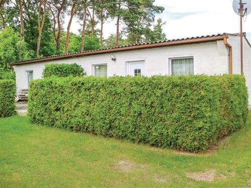 Sommerhus - 4 personer -  - Am Brombeerstrauch - 17373 - Bellin