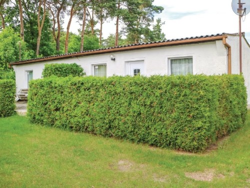 Ferienhaus - 4 Personen -  - Am Brombeerstrauch - 17373 - Bellin