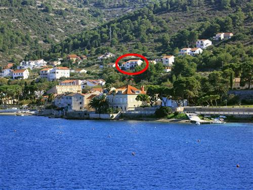 Ferielejlighed - 4 personer -  - Zagrebacka - 21480 - Vis