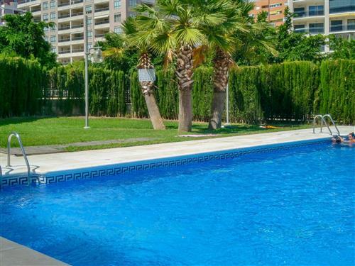 Ferienhaus - 3 Personen -  - Benidorm - 03570