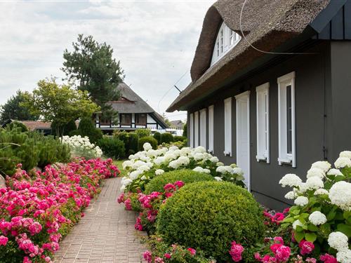 Sommerhus - 6 personer -  - Bauernreihe - 18347 - Ostseebad Ahrenshoop