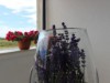 Bild 5 - Innen