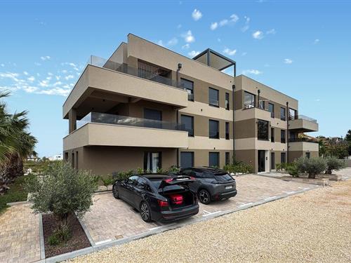 Ferielejlighed - 4 personer -  - Put kandelica - Nin - Privlaka - 23233 - Privlaka