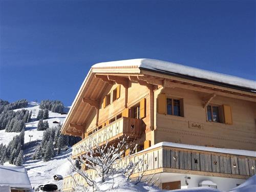Ferienwohnung - 4 Personen -  - Adelboden - 3715