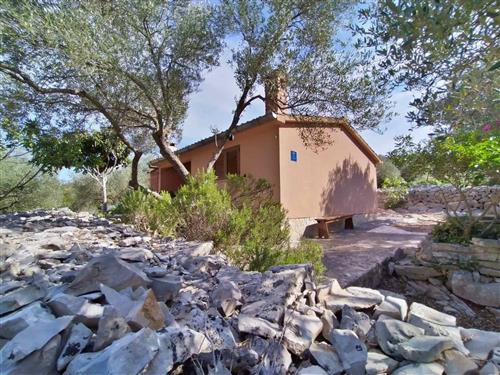 Sommerhus - 4 personer -  - Uvala Jaz b.b. - 23281 - Sali