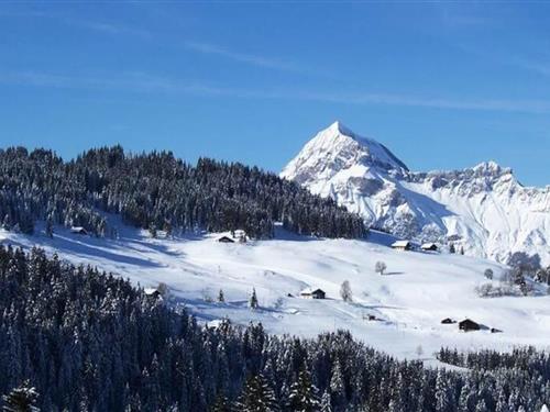 Ferielejlighed - 2 personer -  - 73590 - Notre Dame De Bellecombe