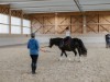 Bild 44