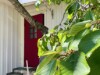 Bild 33 - Ude