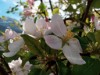 Image 27 - Outside