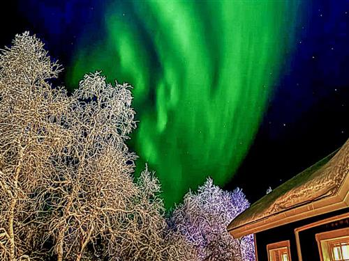 Sommerhus - 5 personer -  - Inari - 99830