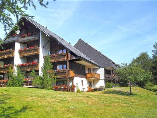 Holiday Home/Apartment - 2 persons -  - Winterhalterweg - 79837 - Sankt Blasien