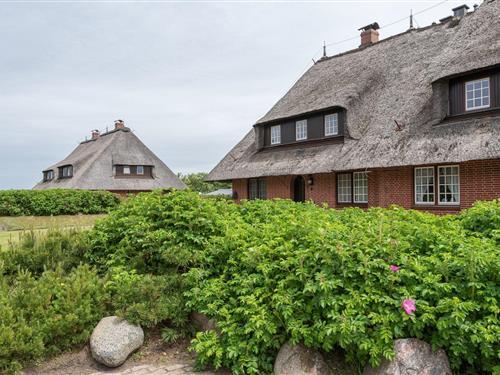 Ferieleilighet - 4 personer -  - M.T. Bucholzstich - 25996 - Wenningstedt-Braderup (Sy