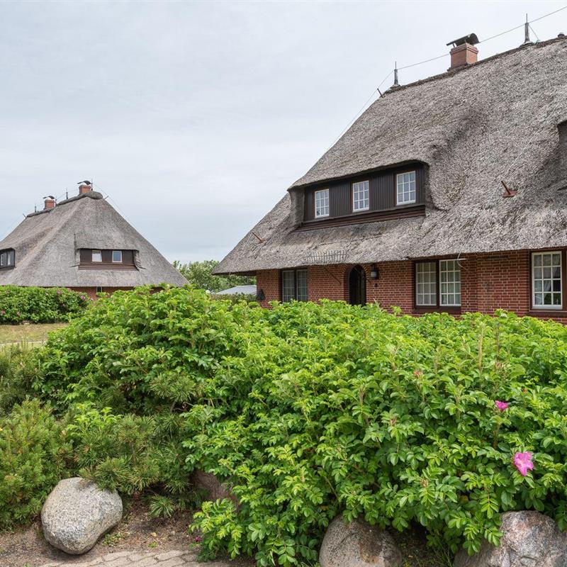 Ferielejlighed - 4 personer -  - M.T. Bucholzstich - 25996 - Wenningstedt-Braderup (Sy