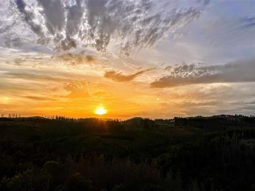 Ferieleilighet - 3 personer -  - Am Kurpark - 38700 - Hohegeiß