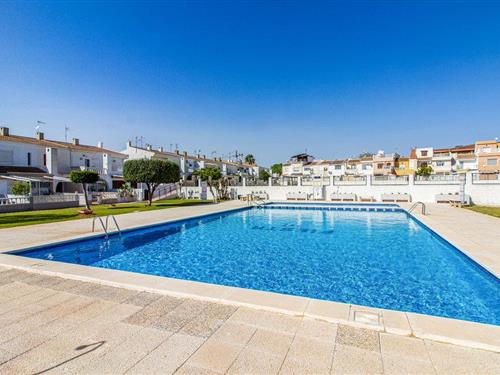 Feriehus - 6 personer -  - Calle Paris - 03183 - Torrevieja