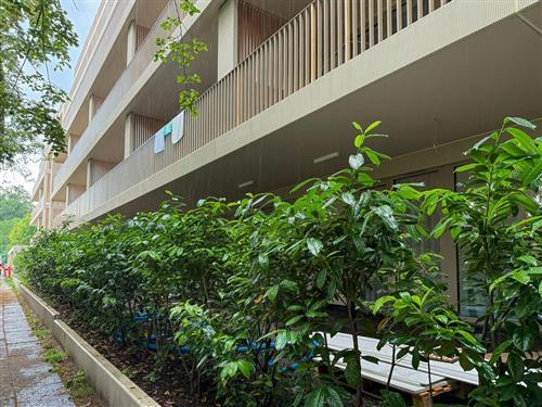 Holiday apartment - 6 persons -  - Boguslawskiego - 72-600 - Swinoujscie-Swinemünde