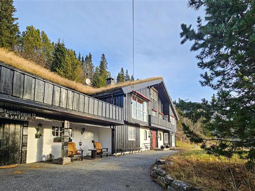 Sommerhus - 8 personer -  - Stupulvegen - 3560 - Hemsedal