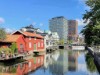 Bild 15