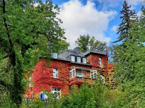 Holiday apartment - 2 persons -  - Malche - 16259 - Bad Freienwalde (Oder)
