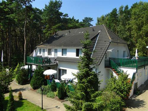 Ferienhaus - 4 Personen -  - Zeltplatzstraße - 17449 - Trassenheide