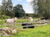 Bilde 6 - Ude