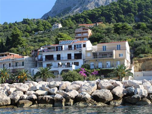 Holiday apartment - 5 persons -  - Caklje - 21327 - Podgora