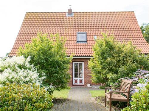 Feriehus - 7 personer -  - Jaardenhuug - 25938 - Utersum