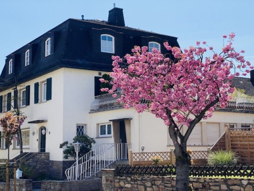Sommerhus - 3 personer -  - 65366 - Geisenheim