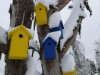 Bild 54