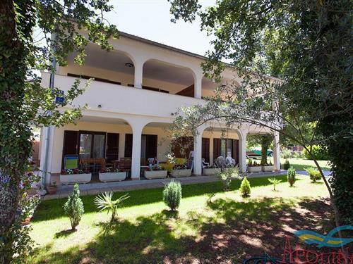 Ferielejlighed - 4 personer -  - 51511 - Vantacici