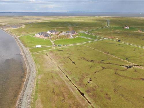 Ferielejlighed - 3 personer -  - Hunnenswarf - 25863 - Langeneß