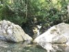 Bilde 7
