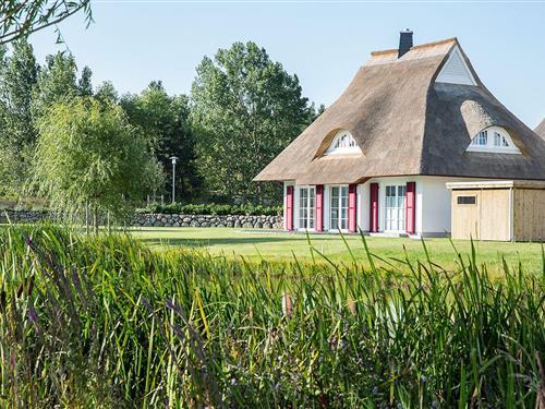 Sommerhus - 6 personer -  - Am Schwanenschlage - 18356 - Fuhlendorf