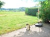 Bild 13