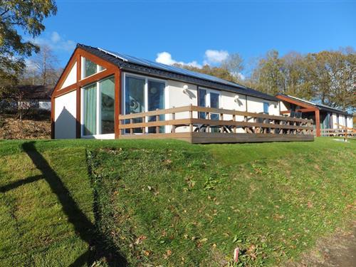 Feriehus - 4 personer -  - 53949 - Dahlem