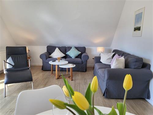 Holiday apartment - 4 persons -  - Gorch-Fock-Weg - 25826 - Sankt Peter-Ording