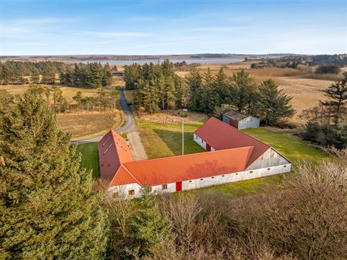 Ferienhaus - 10 Personen -  - Istrupvej - Stenbjerg - 7755 - Bedsted