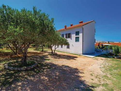 Ferienwohnung - 6 Personen -  - Barbat - Rab-Barbat - 51280 - Barbat