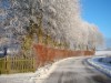 Bild 22