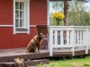 Bild 15 - Inde