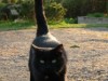 Bild 28