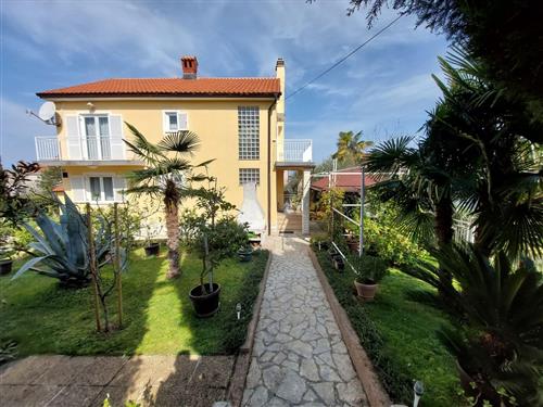 Holiday apartment - 2 persons -  - Branka Fucica - 51511 - Malinska