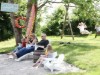 Bild 16