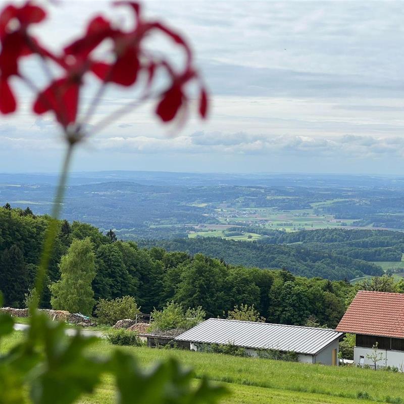  - 3 personer -  - Ölberg - 94508 - Schöllnach