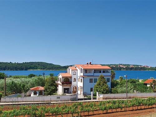 Ferielejlighed - 4 personer -  - Pomer - Medulin-Pomer - 52100 - Pula